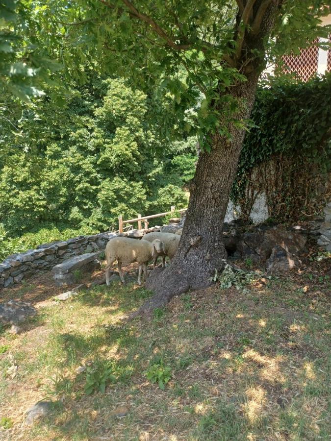 Open Cascina Villa คอลีโก ภายนอก รูปภาพ
