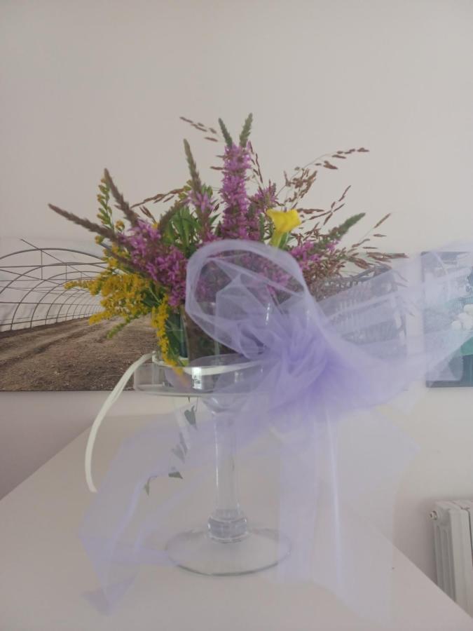 Open Cascina Villa คอลีโก ภายนอก รูปภาพ
